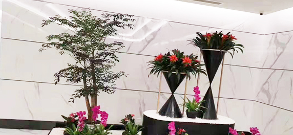 我國(guó)植物資源豐富感到驕傲