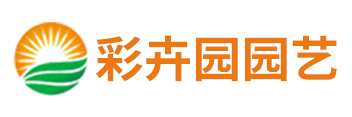 南京彩卉園園藝有限公司