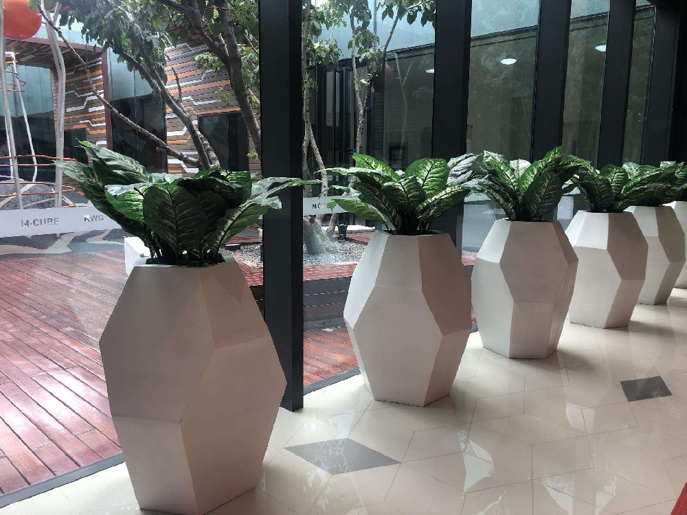辦公室綠植租賃的好處有哪些？